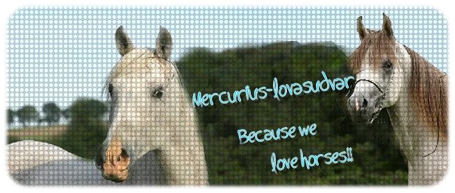 Mercurius-Lovasudvar /Neveld fel itt lamid lovt!/